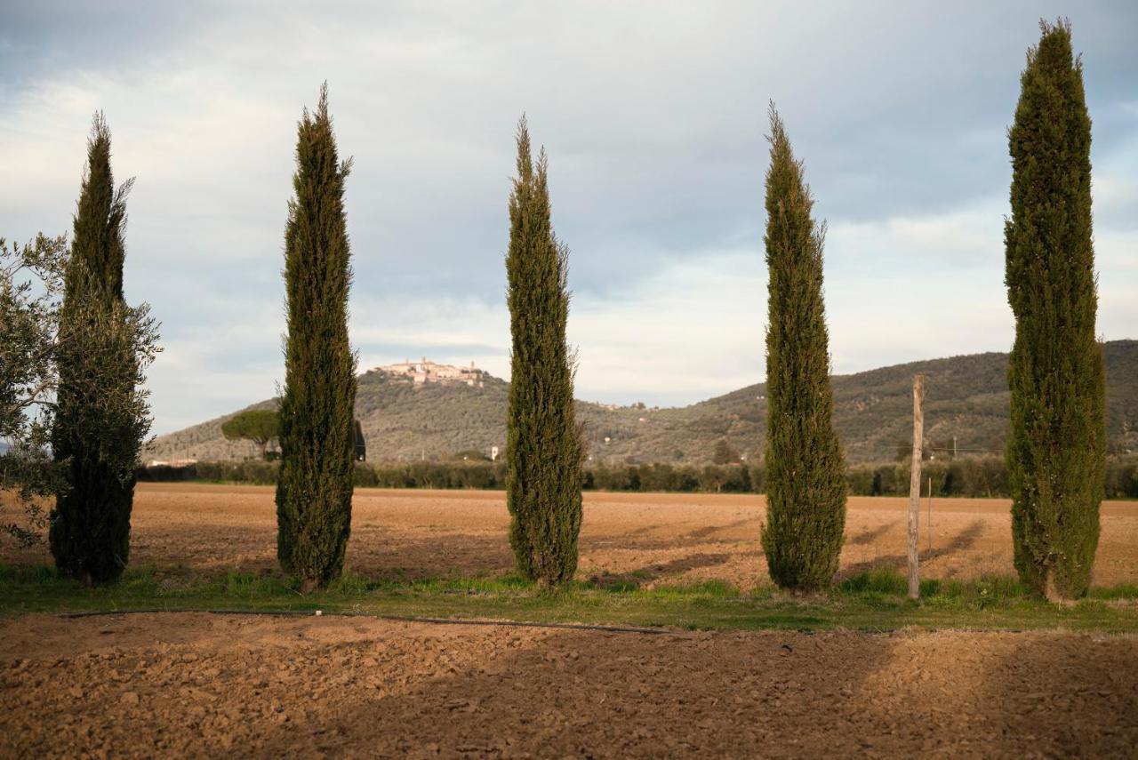 Guadalupe Tuscany