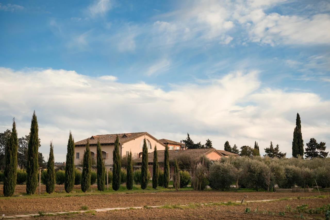 Guadalupe Tuscany
